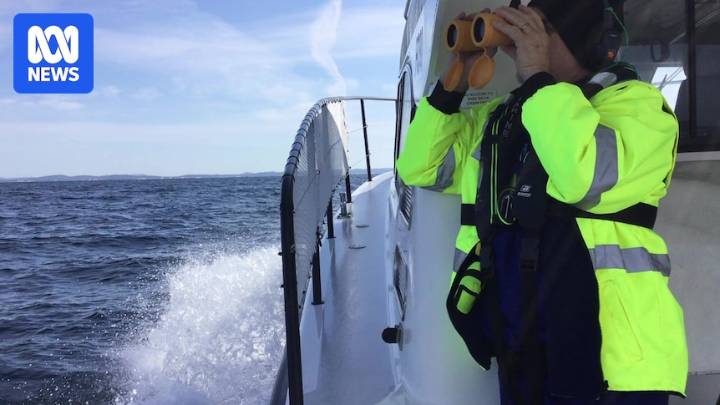 Body found in search for missing Newcastle spearfisher