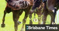 Nowra races on Sunday: Trainer Keith Dryden looks to the future with Sweet Warrior