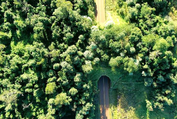 “Es fundamental”. La infraestructura destinada a salvar vidas que empezó a utilizarse en el paísuna infraestructura destinada a salvar vidas da los primeros pasos en la Argentina