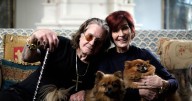 Ozzy Osbourne's six-word statement gets to the heart of new BBC documentary