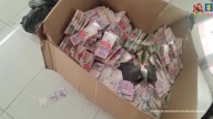 Cajas, montones y bolsas llenas de dólares falsos encontró la Fiscalía en un operativo para capturar a una banda de falsificadores