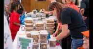 Annual Carrot Festival's set for Niskayuna Sunday