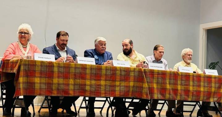 Nelson supervisor candidates address issues at forum