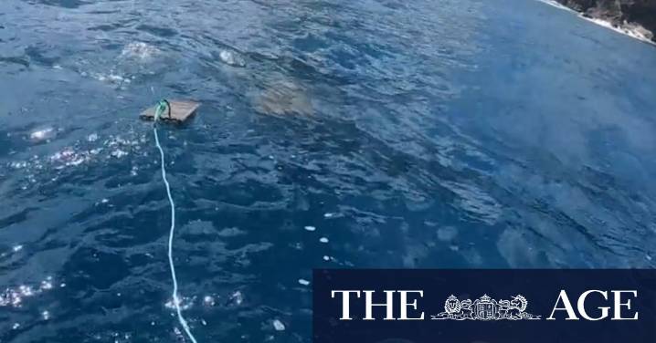 New bite-resistant shark suits put to the test