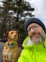 CT man lucky to be alive after bear attacks dog, charges at him