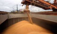 Tensión cambiaria: el sector agroexportador guarda en silobolsas 9600 millones de dólares