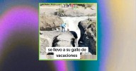 “Ese gallo tiene mejores vacaciones que yo”: hombre lleva a su gallo de viaje y lo fotografía frente a una cascada