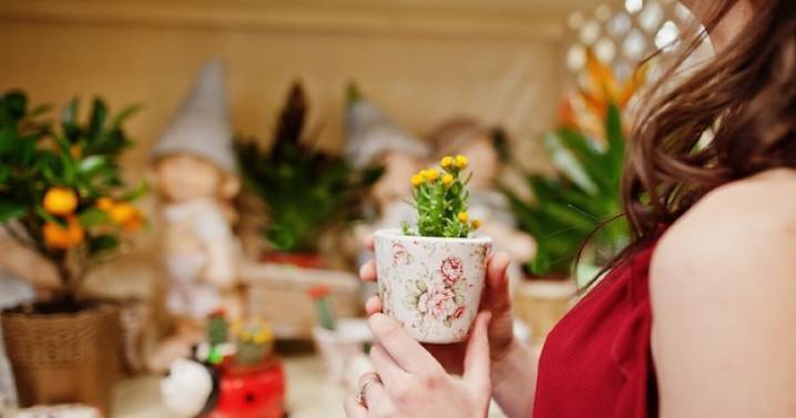 Plantas con profundo significado espiritual en distintas culturas