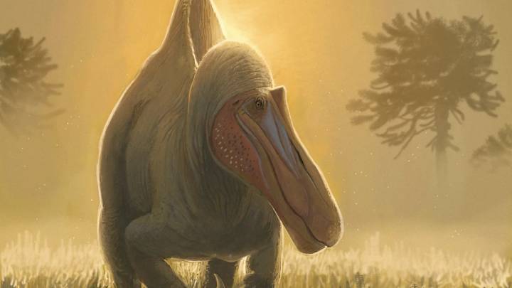 Descubren que el origen de los dinosaurios gigantes de África podría estar en Teruel