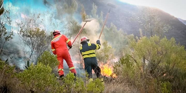 Casi 30 incendios forestales arrasan Cajamarca y más de 350 hectáreas afectadas