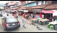 Verifica COPRISEH a puestos de alimentos en el Centro