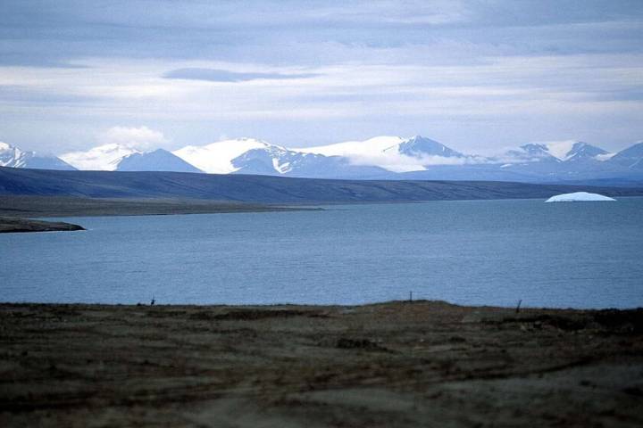 El frío del Ártico era la barrera ideal contra las especies invasoras. Ahora esa barrera está cayendo