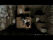 PBS series "Human" explores the journey of how we became who we are