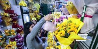 Conoce por qué se regalan flores amarillas en Perú cada 21 de septiembre