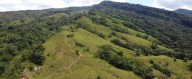 Ecopetrol adquirió 970 hectáreas para la protección de la biodiversidad en Casanare