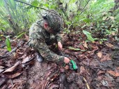 Fuerzas de Tarea Hércules Destruyen Depósito de Guerra de las FARC