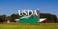 East Texas livestock producers eligible for USDA assistance due to flooding