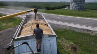 Farmers will need a bailout this year, Thune says