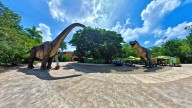 Ukumarí, el bioparque educativo donde albergan a más de 500 animales rescatados: se encuentra a solo 3 horas de Cali