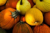 Your Guide To Fall Festivals Across Upstate New York