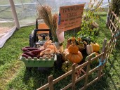 A CT country fair was to be one-time event. This is 50th year