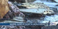 Lincoln garage fire started by squirrel; thousands of dollars in damages