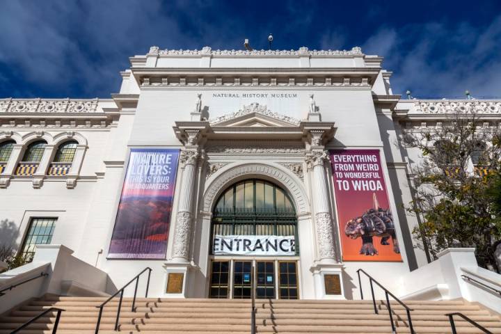 Natural History Museum offers half-price admission during construction