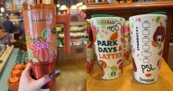 A Look At Starbucks' 2025 Fall Merch & Exclusive Disney Cups