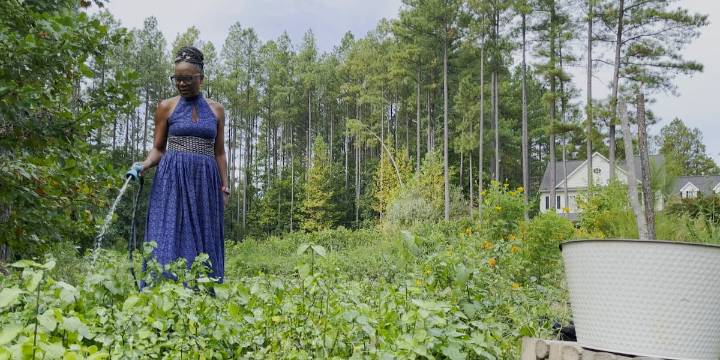 Hanover farm given $48k state grant to increase food access