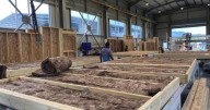 Arquitectura tradicional y nueva arquitectura: La simbiosis es clave para prevenir catástrofes climáticas