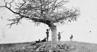 Alexander Gardner's Stunning Photos Of The Civil War