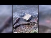 Possible DC plane crash wreckage found by man walking his dog