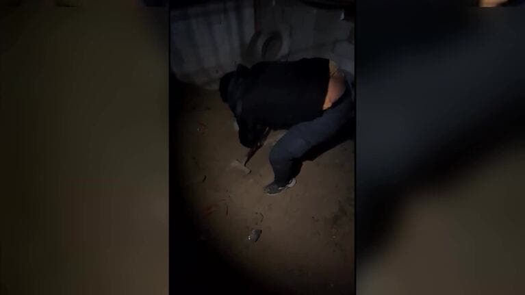 Cayó una banda narco vinculada a la ex Miss Bolivia: hay cinco detenidos y casi 50 kilos de cocaína incautados