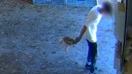 Muerte a golpes y condiciones insalubres: los patos de los súper asiáticos