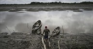 Well-preserved Amazon rainforest on Indigenous lands can protect people from diseases, study finds