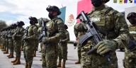 Operación Frontera Norte: 7 mil 587 detenidos y casi 100 toneladas de droga incautadas
