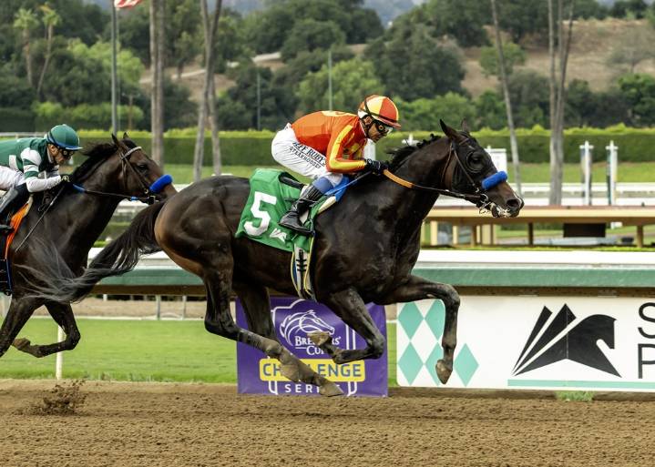 Bob Baffert’s Nevada Beach scores 8-1 upset at Santa Anita