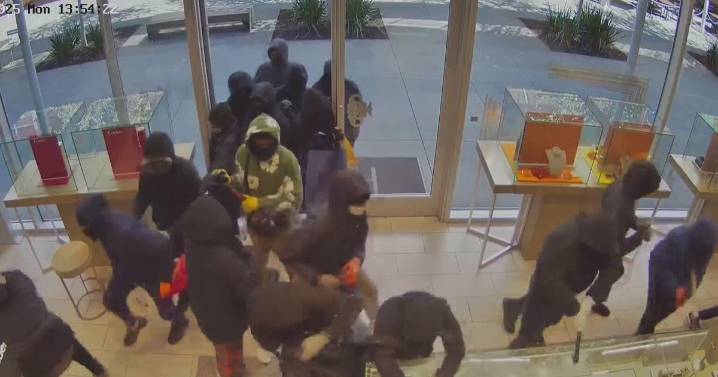 Bay Area smash-and-grab thieves getting caught using technology, police collaboration