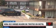 Muere bebé de 9 meses alcanzado por una bala en un motel