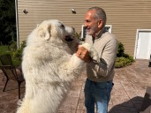 With new grant, KodiakCare will help even more pets, owners in dire situations