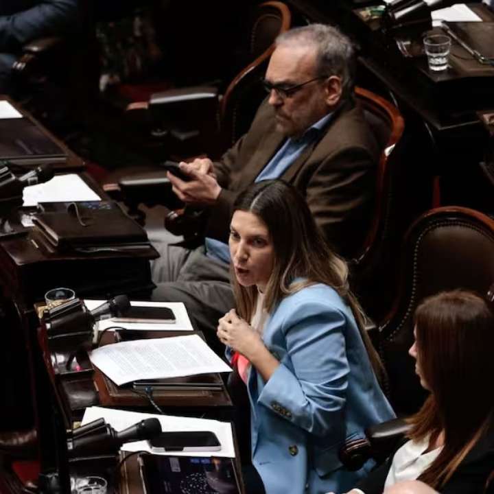 Silvia Lospennato, la rebelde de Pro que enfureció a Cristian Ritondo por su rechazo a los vetos de Milei