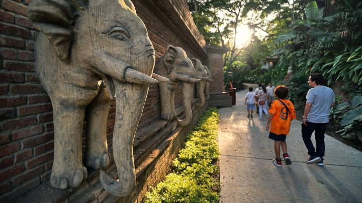 Zoológico de Cali abre sus puertas a los niños con entrada gratuita este 20 de septiembre