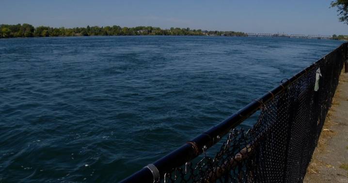 DEC sues Buffalo Sewer Authority over millions of gallons of raw sewage discharge