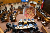 Gobierno repone multa por no votar: sanción irá de 0,5 a 1,5 UTM y se aplicará con procedimiento especial