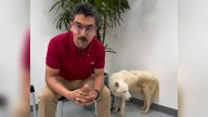 Animalista ‘La Ranita de Nogales’ rescata lomitos en situación de maltrato y se vuelve viral (FOTOS)