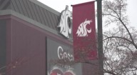 Washington State University sees rise in new students
