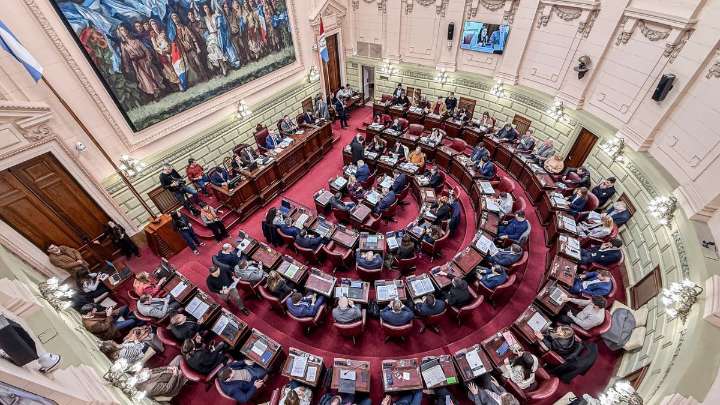 Convención del 25: según Giuliano, la Constitución avanzó pero dejó puntos pendientes