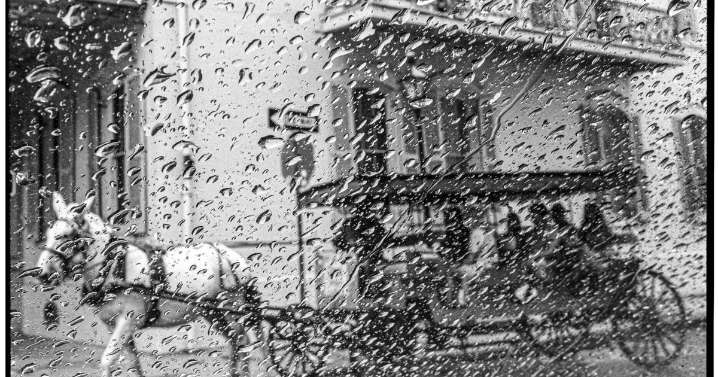 After Katrina came the deluge of do-gooders in New Orleans. This book recounts their stories.