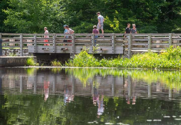 CT state parks are booming. Officials look to make them more fun.