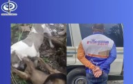 (VIDEO) Detenido sujeto acusado de instigar a su perro de raza pitbull a atacar a otro canino en Yaracuy